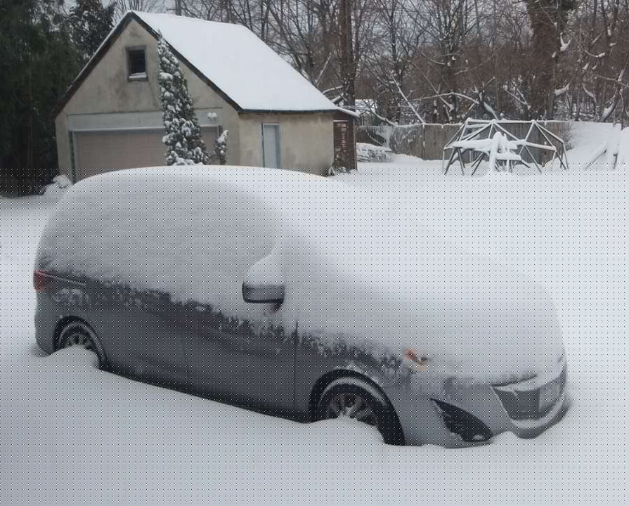 2013-02-09-LI-Snow.jpg