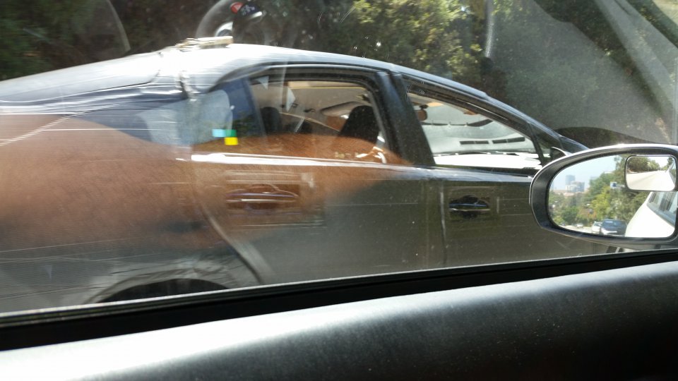 20140709_143138.jpg