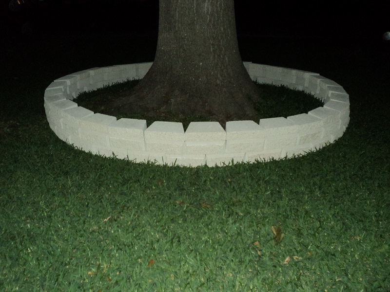 DSC01604.JPG