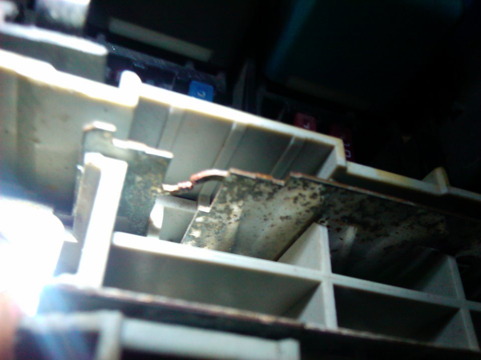 IMG_20130624_173954.jpg