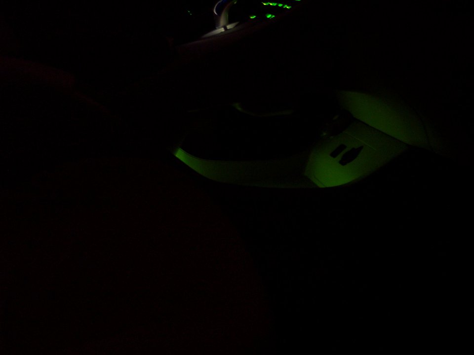 night picture.jpg