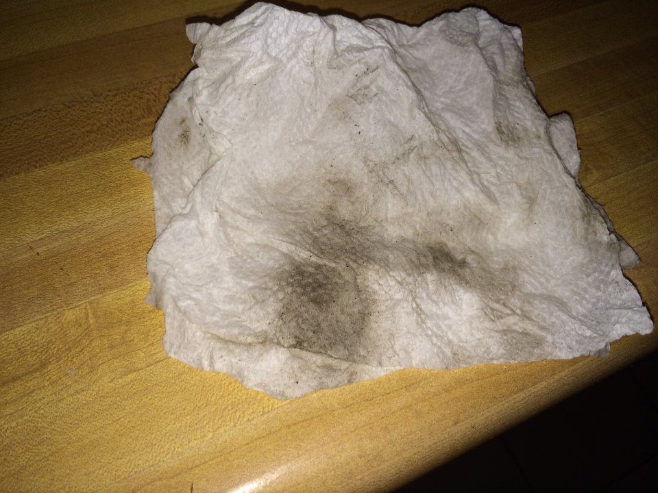 photo.JPG
