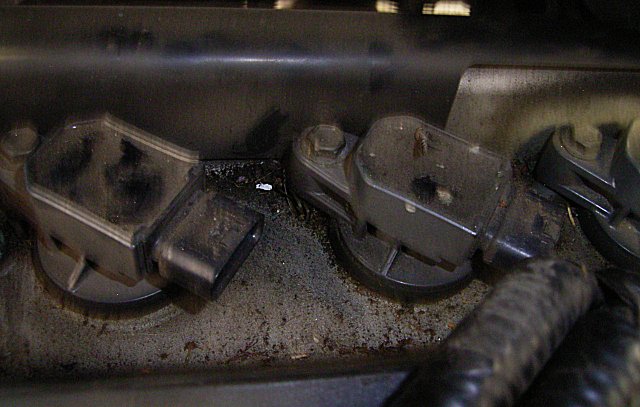 plugs4.jpg
